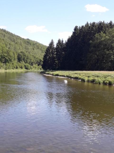 Vieux Logis Een Prachtige Ardeense Vakantiewoning Vresse-sur-Semois Luaran gambar